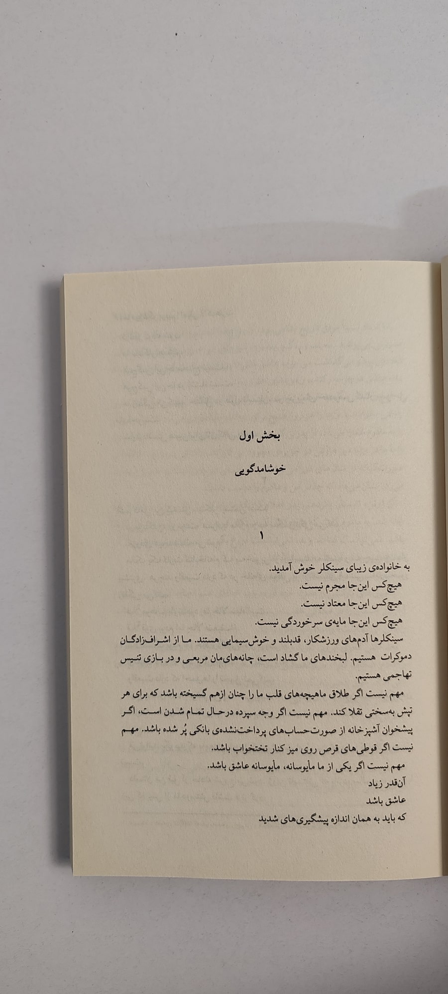 متن کتاب ما دروغگو بودیم